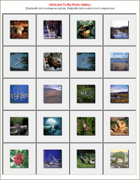 Pic-Share 1.0 screenshot. Click to enlarge!
