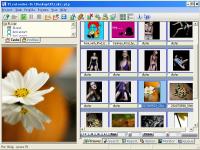 PicaLoader 1.7.1 screenshot. Click to enlarge!