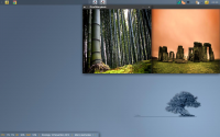 PicsONmydesk 1.1.0 screenshot. Click to enlarge!