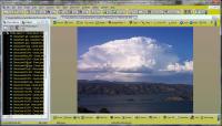 Picture Organizer 7.7 screenshot. Click to enlarge!
