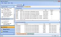 Picture Ripper Image Downloader Software 4.61 screenshot. Click to enlarge!