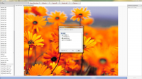 PictureFilter 1.1.1 screenshot. Click to enlarge!