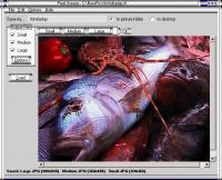 Pixel Grease - Easy Image Editor 2.0 screenshot. Click to enlarge!