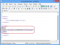 Portable EmEditor Professional 16.9.0 screenshot. Click to enlarge!