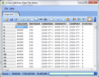 Portable Q-Eye QlikView Data File Editor 5.0.0.7 screenshot. Click to enlarge!
