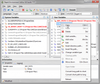 Portable Rapid Environment Editor 9.1.936 screenshot. Click to enlarge!