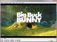 Portable VLC Media Player 2.2.4 screenshot. Click to enlarge!