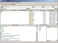 PowerFTP 2.31 screenshot. Click to enlarge!