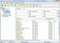 Professional Renamer 3.0 screenshot. Click to enlarge!