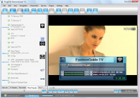 ProgDVB Network Edition 7.19.9 screenshot. Click to enlarge!