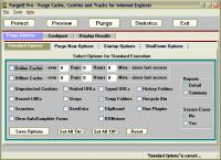 PurgeIE Pro 5.02 screenshot. Click to enlarge!
