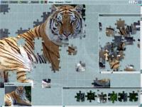 Puzzle Mania 2.3 screenshot. Click to enlarge!