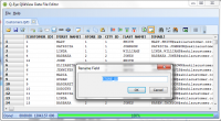 Q-Eye QlikView Data File Editor 6.5.0.2 screenshot. Click to enlarge!
