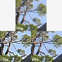 Qimage Ultimate 2018.103 screenshot. Click to enlarge!