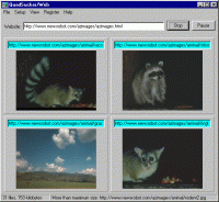 QuadSucker-Web 3.4 screenshot. Click to enlarge!