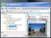 R-UNDELETE File Recovery 4.1 screenshot. Click to enlarge!
