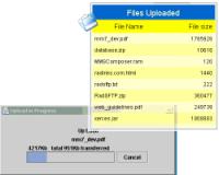 Rad Upload Lite 3.10 screenshot. Click to enlarge!