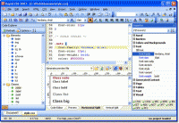 Rapid CSS Editor 2010 10.2 screenshot. Click to enlarge!