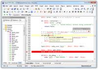 Rapid PHP Editor 2011 11.3 screenshot. Click to enlarge!