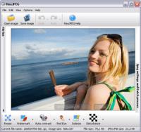 ReaJPEG Pro 3.9 screenshot. Click to enlarge!