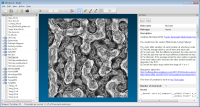 Ready 0.6 screenshot. Click to enlarge!