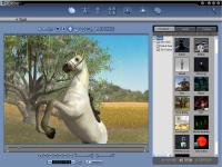 Reallusion iClone Studio Edition 2.5 screenshot. Click to enlarge!