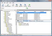 RegCOPA Registry Editor 3.01 screenshot. Click to enlarge!