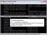 Registry Trash Keys Finder 3.9.1.2 screenshot. Click to enlarge!