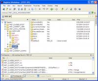 Registry Workshop 5.0.1 screenshot. Click to enlarge!
