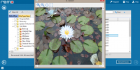 Remo Recover 4.0.0.34 screenshot. Click to enlarge!