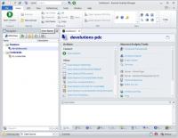 Remote Desktop Manager 8.3.1.0 screenshot. Click to enlarge!