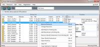 Reset VBA Password 6.17.01.08 screenshot. Click to enlarge!