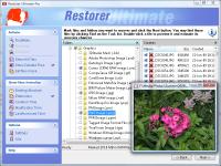 Restorer Ultimate 9.1.809321/21/06/201 screenshot. Click to enlarge!