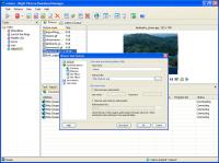 Right Picture Download Manager 2.3 screenshot. Click to enlarge!