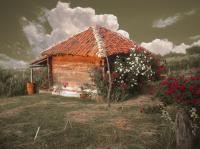 Romantic Photo 2.4.0.0 screenshot. Click to enlarge!