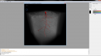 RooTrak 0.3.1-b1 screenshot. Click to enlarge!