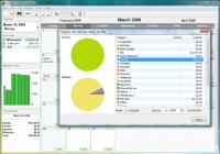 Rylstim Budget 4.5.1.6377 screenshot. Click to enlarge!