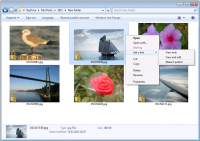 SDExplorer Base 3.1.0.861 screenshot. Click to enlarge!