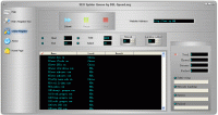 SEO Spider Queen 1.0 screenshot. Click to enlarge!