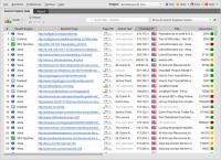 SEO SpyGlass Professional 5.11.10 screenshot. Click to enlarge!