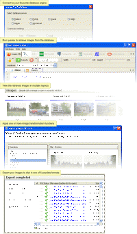 SQL Image Viewer 5.2 screenshot. Click to enlarge!