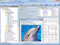 SQL Maestro for MySQL 12.3.0.1 screenshot. Click to enlarge!