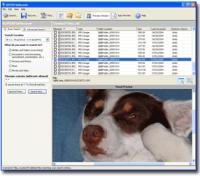 SUPERFileRecover 3.1.1000 screenshot. Click to enlarge!