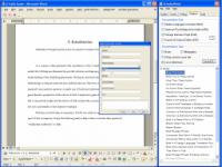 SW for the Chicago Manual of Style 2.0 screenshot. Click to enlarge!