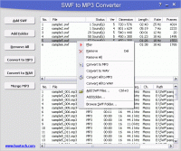 SWF to MP3 Converter 2.4.0.189 screenshot. Click to enlarge!