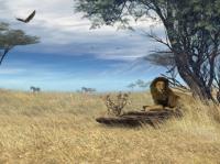 Savannah Safari - Screen Saver 5.07 screenshot. Click to enlarge!