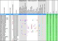 Scaffold 4.7.5 screenshot. Click to enlarge!