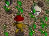 Scarecrow: Heart Of Straw 1.0 screenshot. Click to enlarge!
