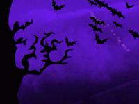 Screechy Bats Halloween Wallpaper 2.0 screenshot. Click to enlarge!