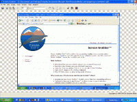 Screen Grabber 3.0 screenshot. Click to enlarge!